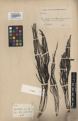 LE 00013190