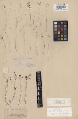 LE 00013194