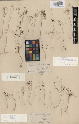 LE 00013195