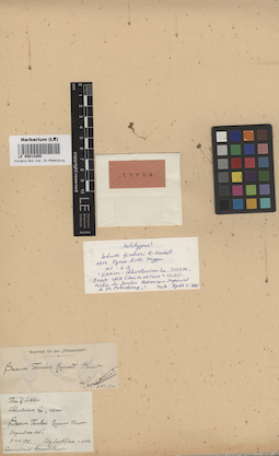 LE 00013205
