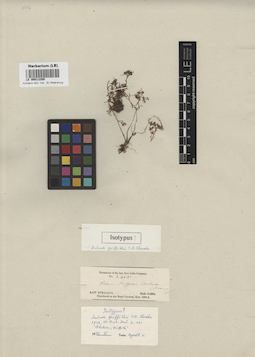 LE 00013209