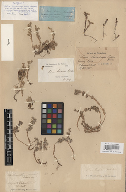 LE 00013213