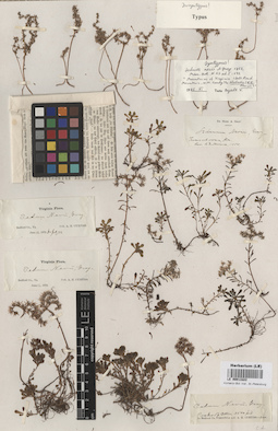 LE 00013222