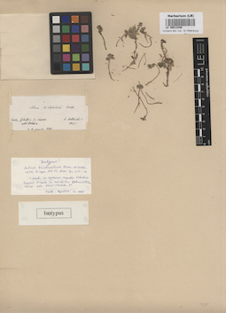 LE 00013240