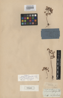 LE 00013248