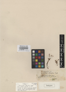 LE 00013254