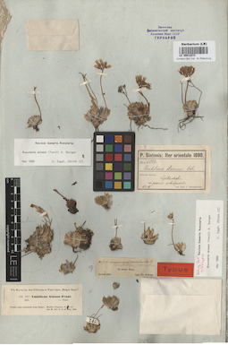 LE 00013273