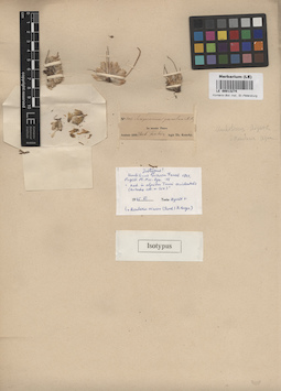 LE 00013274
