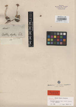 LE 00013275
