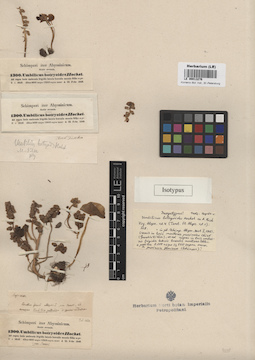 LE 00013276