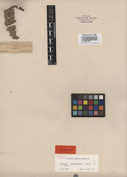 LE 00013282