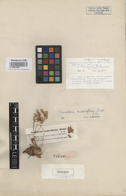 LE 00013289