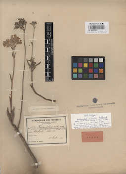 LE 00013291