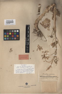 LE 00013296
