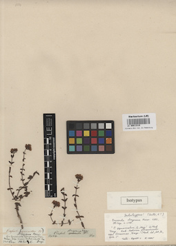 LE 00013319