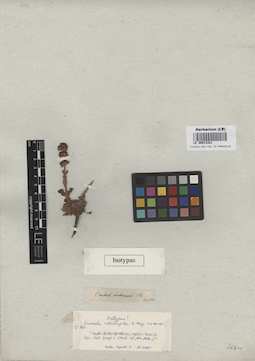 LE 00013321