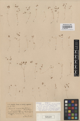 LE 00013328