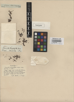LE 00013348