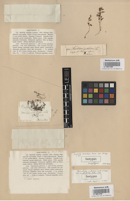 LE 00013365