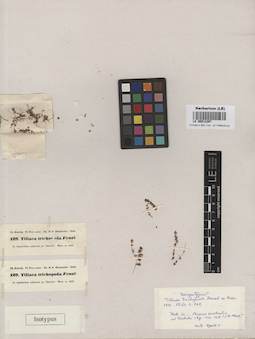 LE 00013397