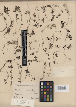 LE 00013410
