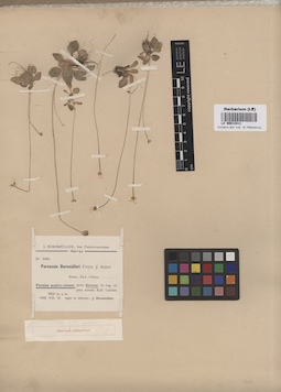 LE 00013411
