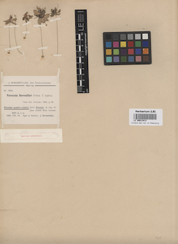 LE 00013413