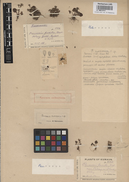 LE 00013414
