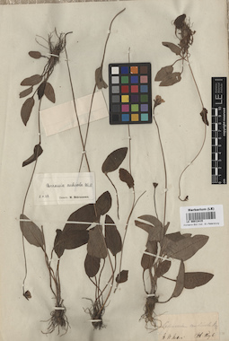 LE 00013415