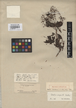 LE 00013418