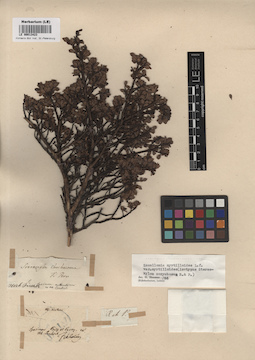 LE 00013423