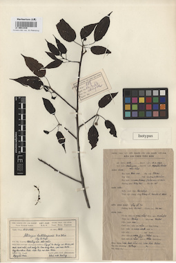 LE 00013439