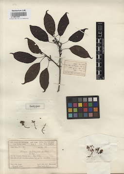 LE 00013440
