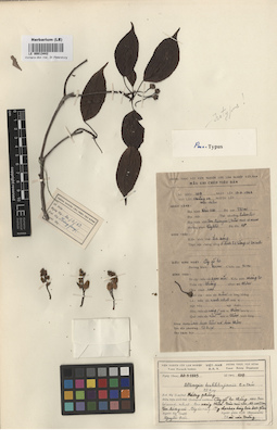LE 00013442
