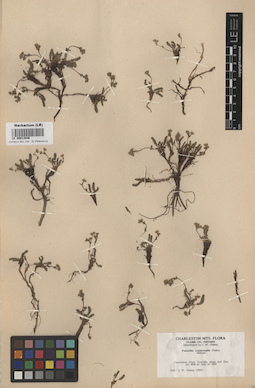LE 00013546