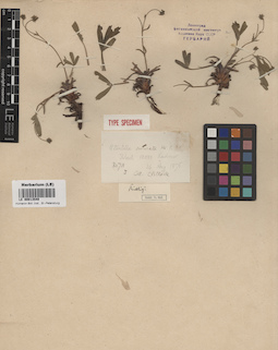 LE 00013549