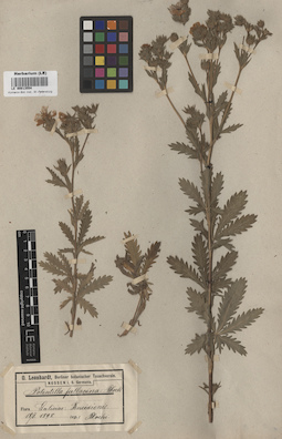 LE 00013554