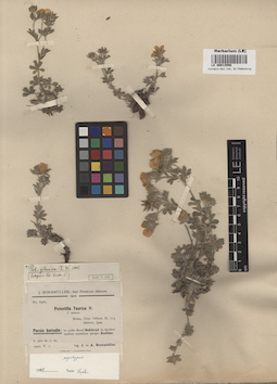 LE 00013556
