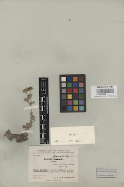 LE 00013558