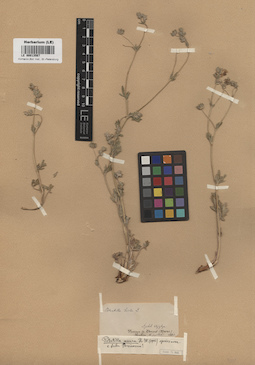 LE 00013567