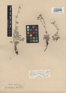LE 00013569
