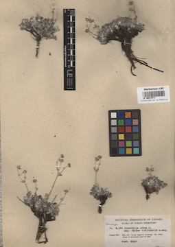 LE 00013571