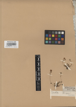 LE 00013573