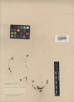 LE 00013574