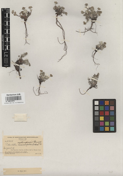 LE 00013579