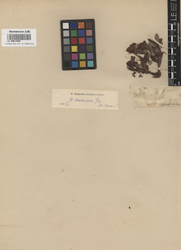 LE 00013584