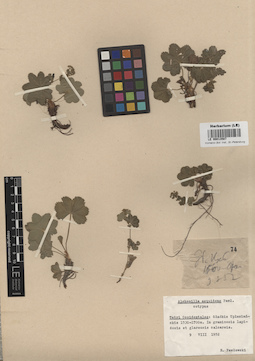 LE 00013587
