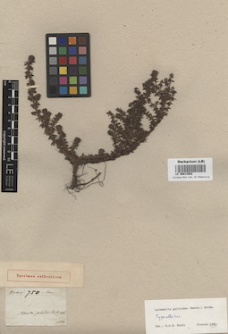 LE 00013592