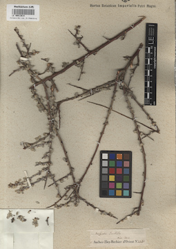 LE 00013614
