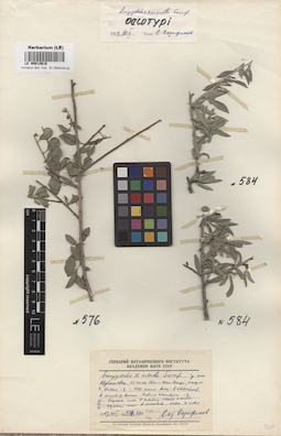 LE 00013616